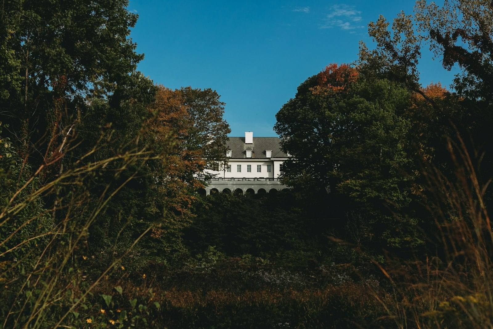 White Indiana house surrounded by trees on a sunny day. Understanding the Indiana appeal process.