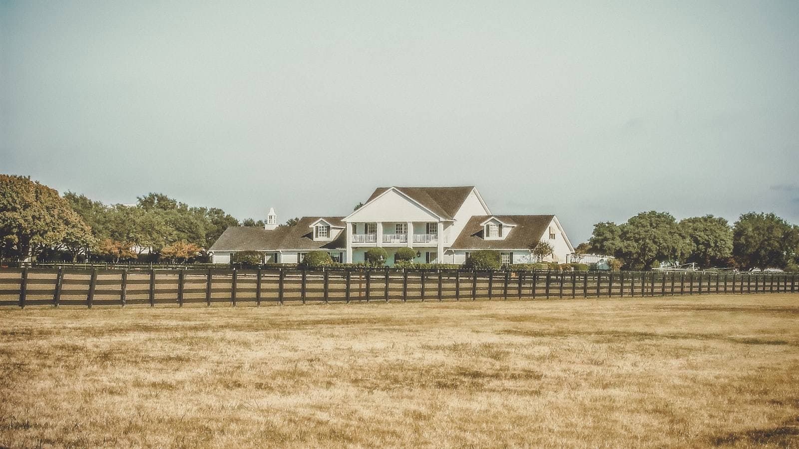 White two-story Texas home with shade trees. Collin County protest guide.